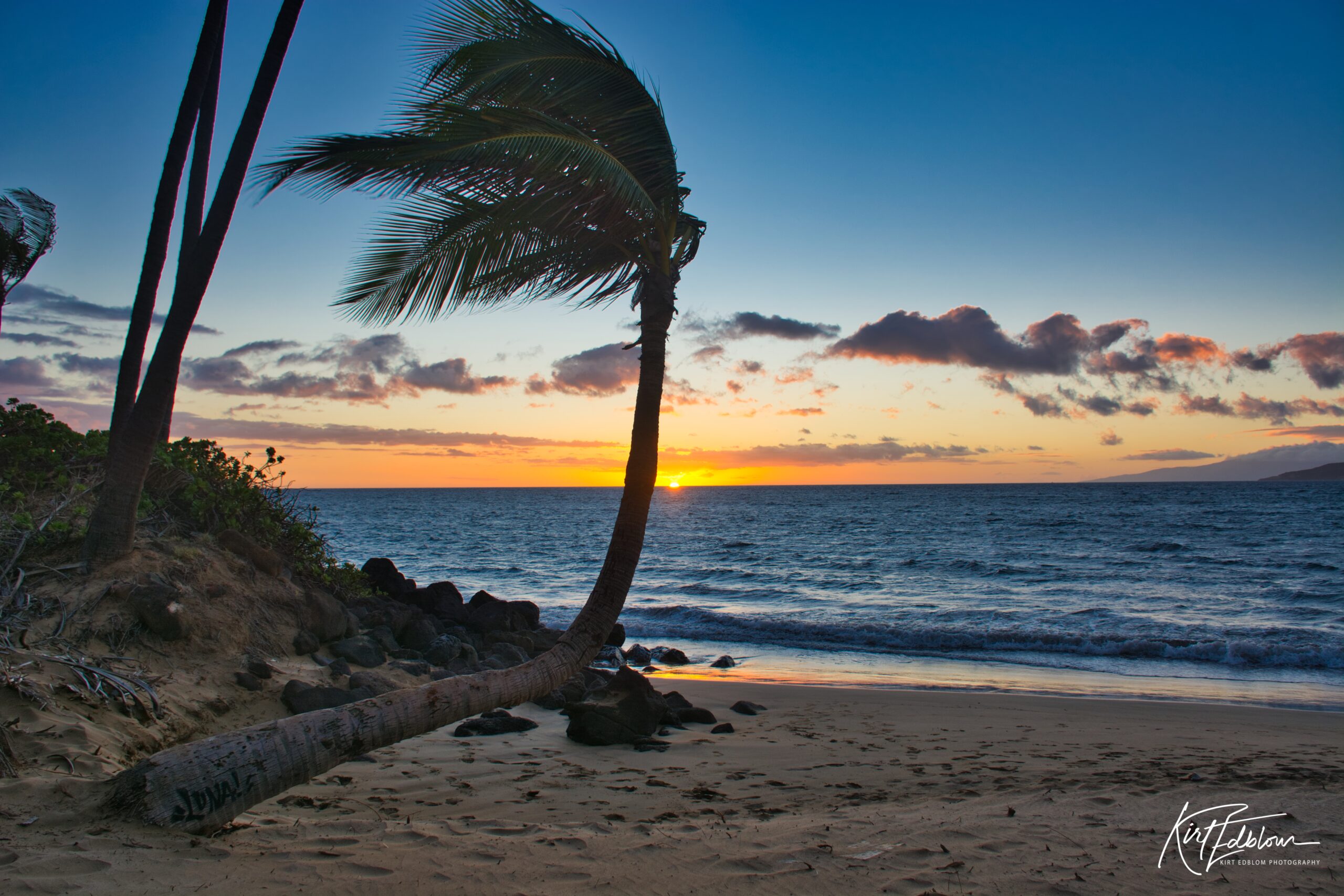 A stunning Hawaiian sunset over the ocean with a curved palm tree on the beach, golden light reflecting on the water, and soft waves touching the sand.