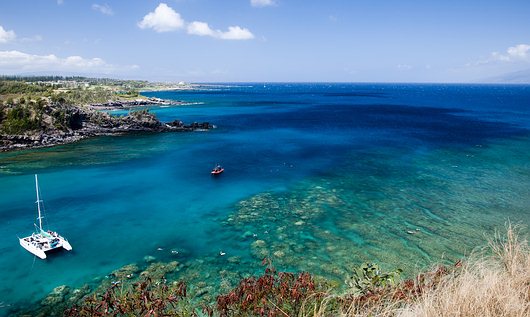 Honolua Bay Snorkeling on Maui Island, Hawaii