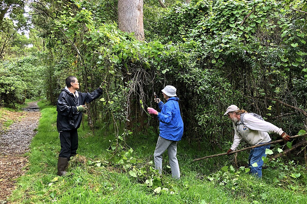 Volunteering at Hawaii Volcanoe National Park